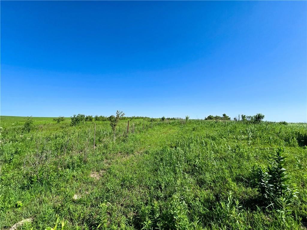Tallgrass Road — photo 8