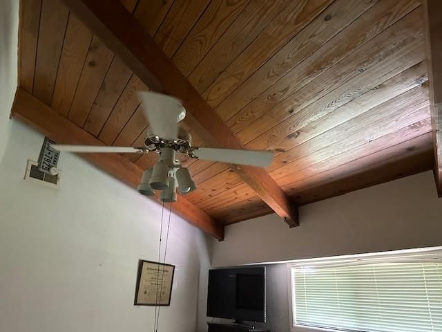 303 Highland Drive — photo 11