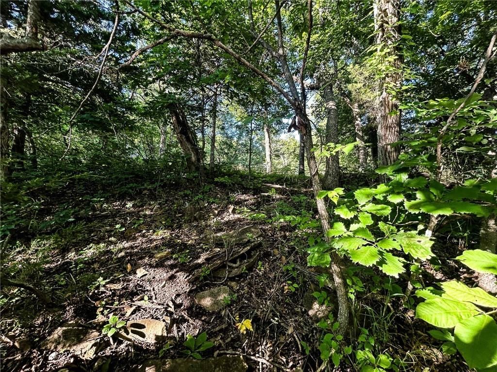 126 W Lou Ann Drive — photo 36
