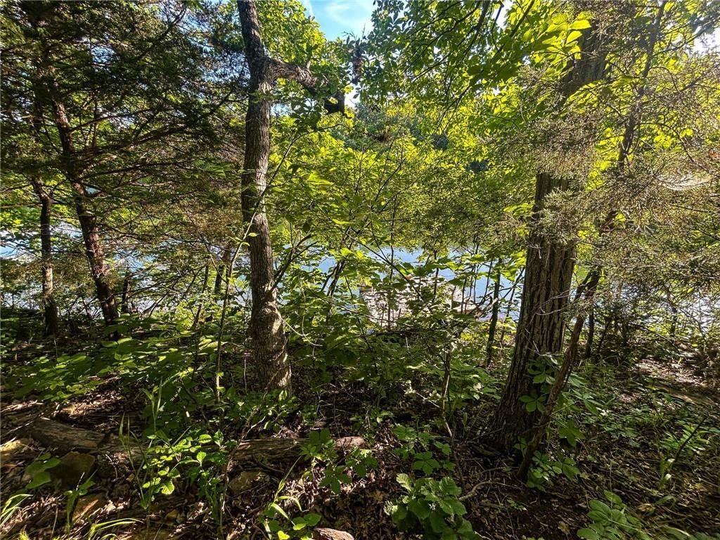 126 W Lou Ann Drive — photo 41