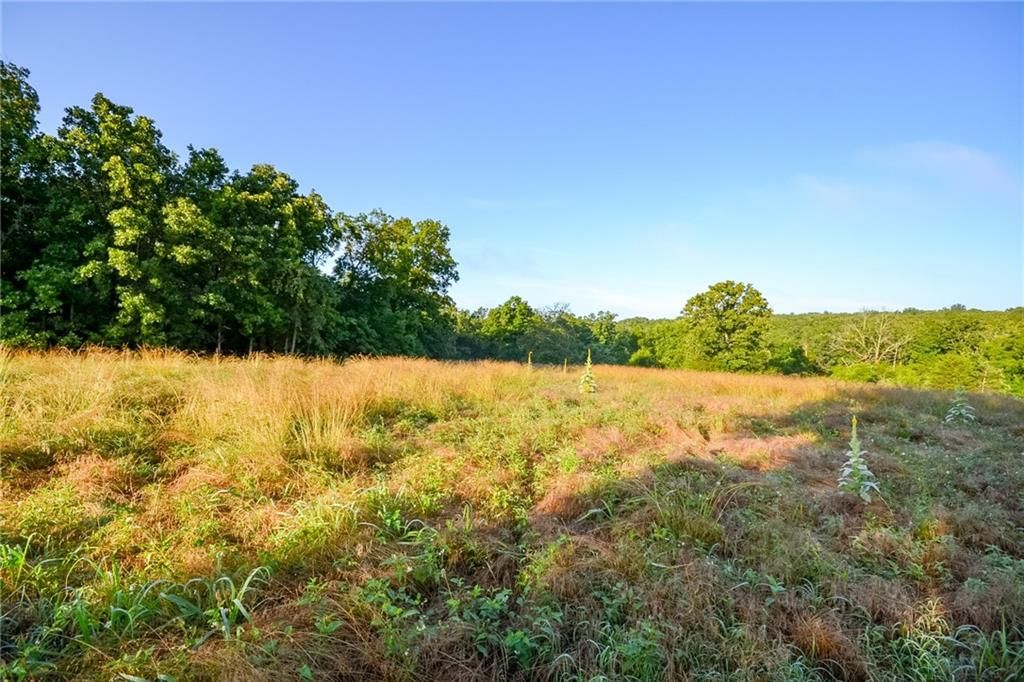 4550 SW 151 Road — photo 21