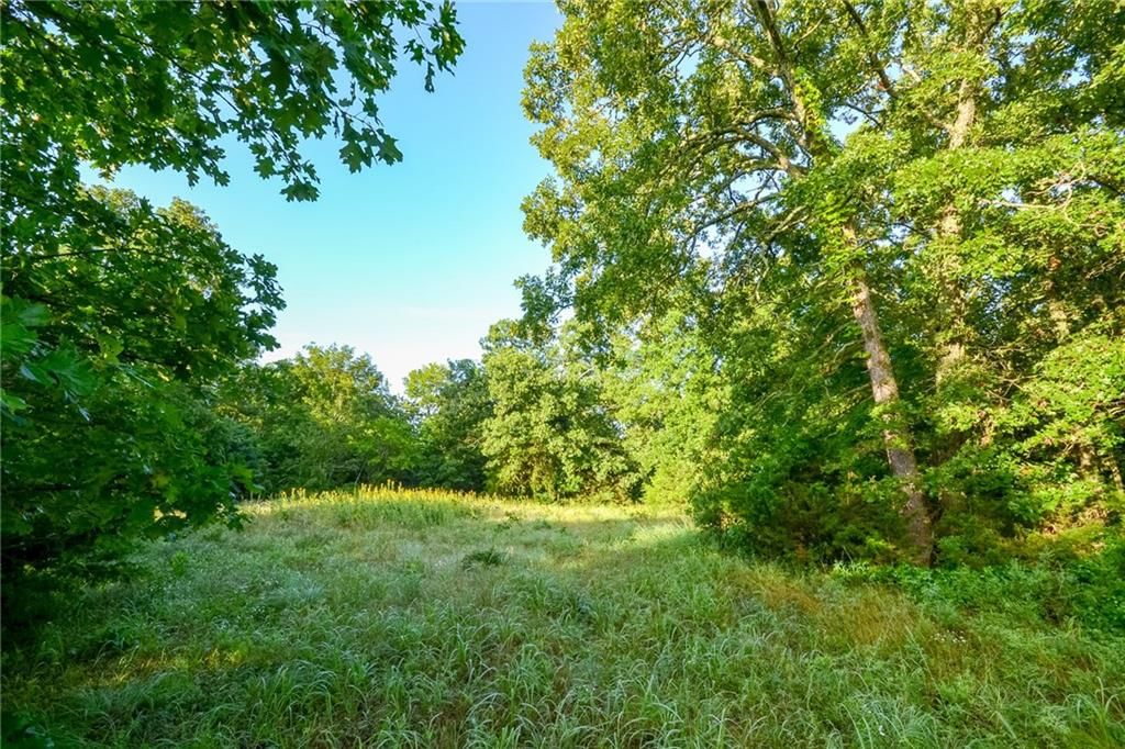 4550 SW 151 Road — photo 26