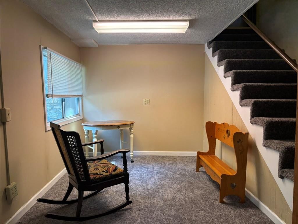 2425 Elephant Trail — photo 38