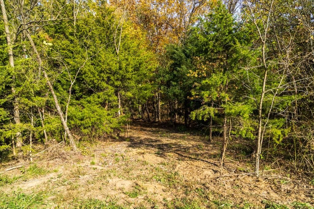 Tract A-1 SE 651st Road — photo 20