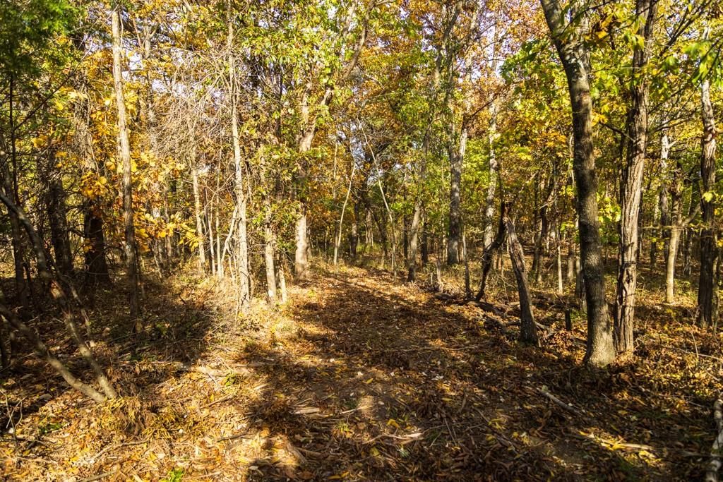 Tract A-1 SE 651st Road — photo 21