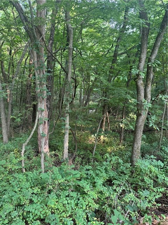 50 NE Lakeside Drive — photo 9
