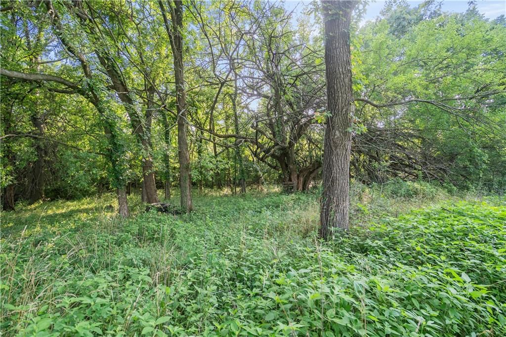 24104 Xavier Road — photo 60