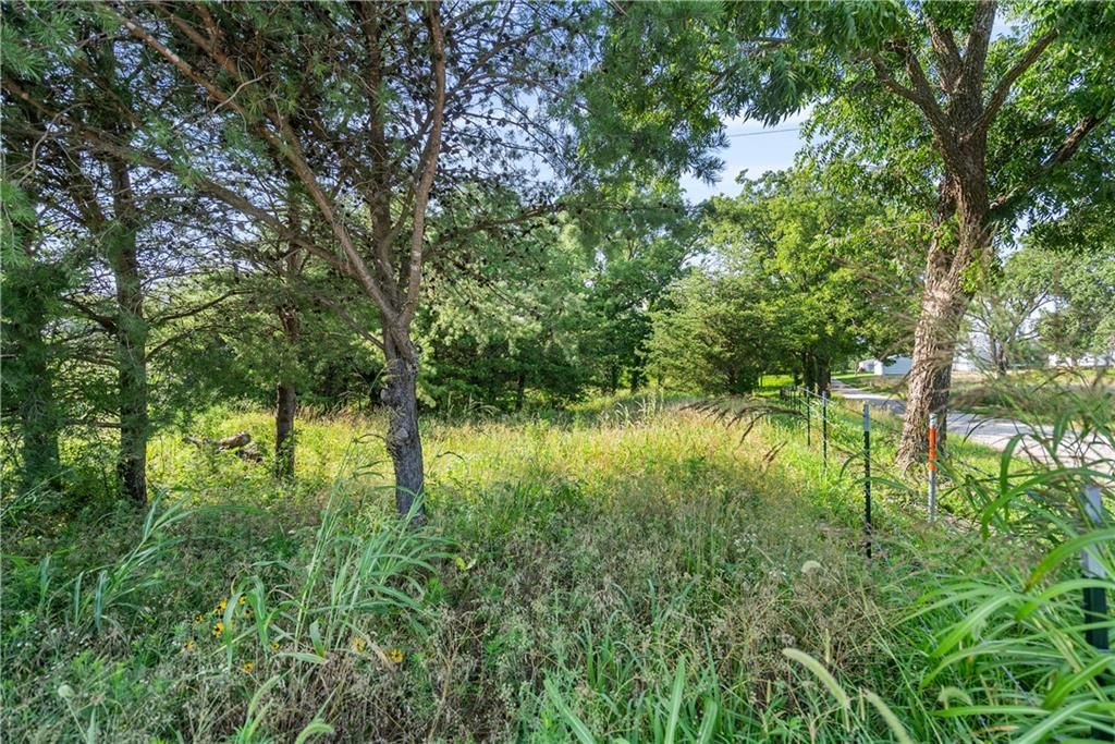 24104 Xavier Road — photo 64