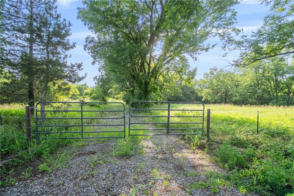 24104 Xavier Road — photo 65
