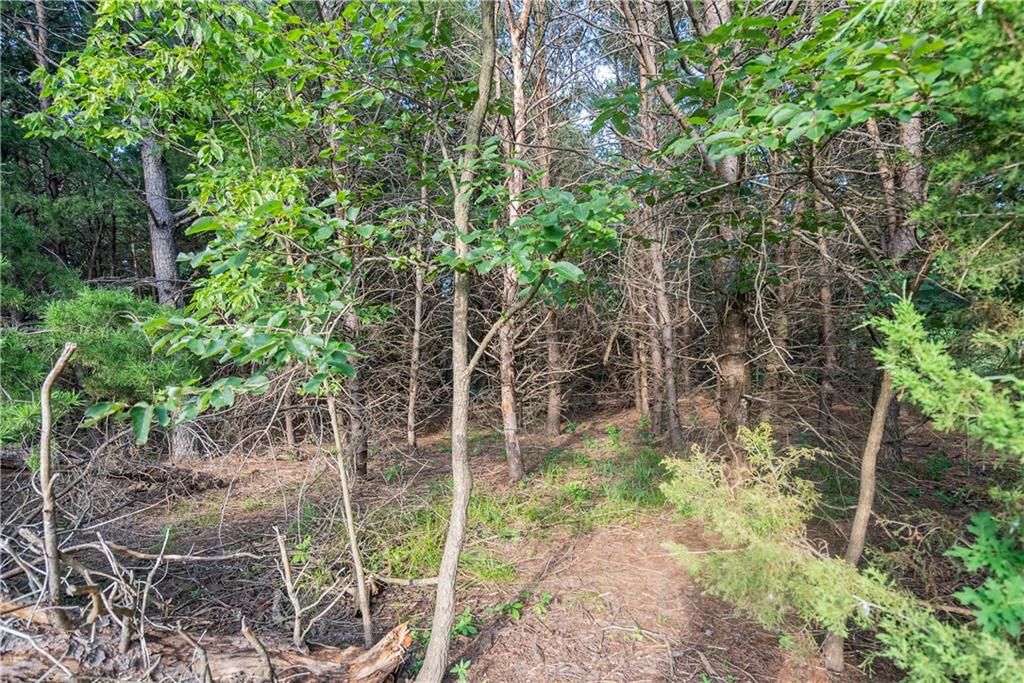 24104 Xavier Road — photo 81
