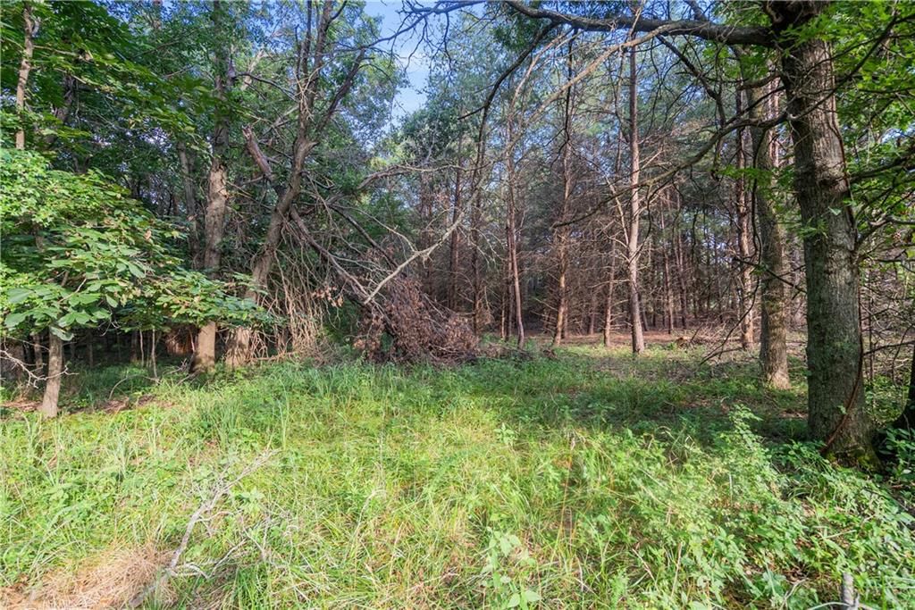 24104 Xavier Road — photo 83