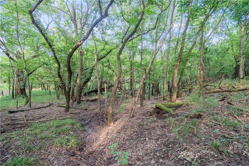 24104 Xavier Road — photo 84