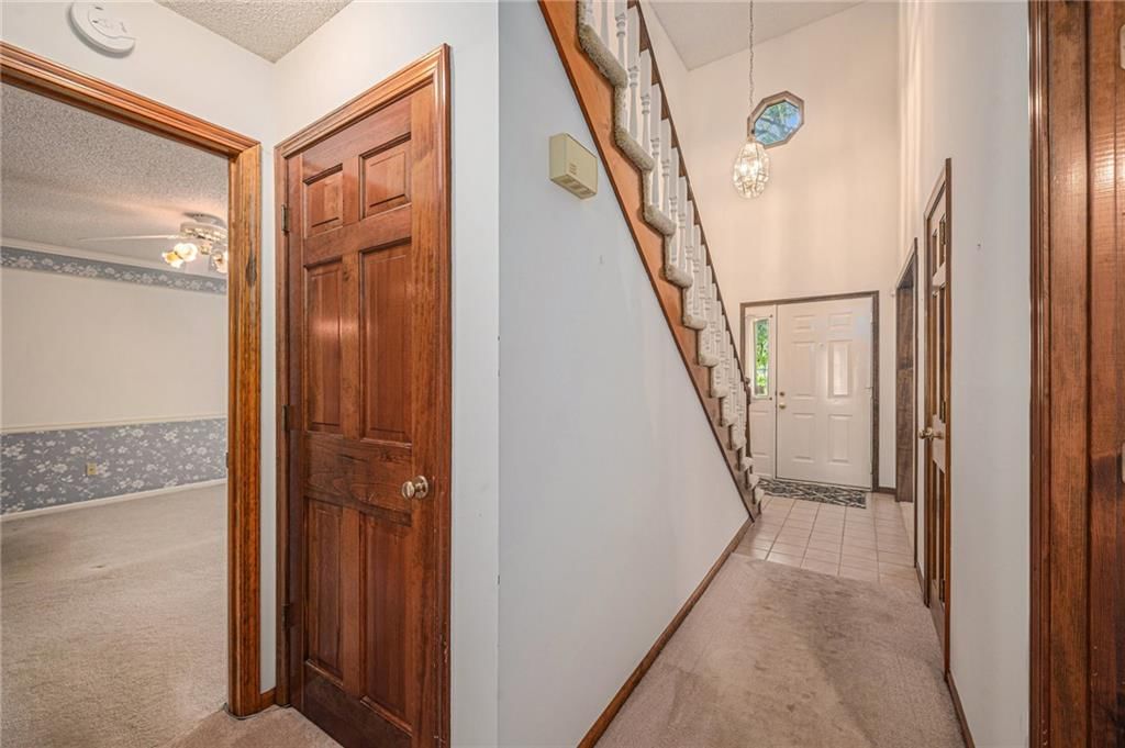 103 Cedar Street — photo 7