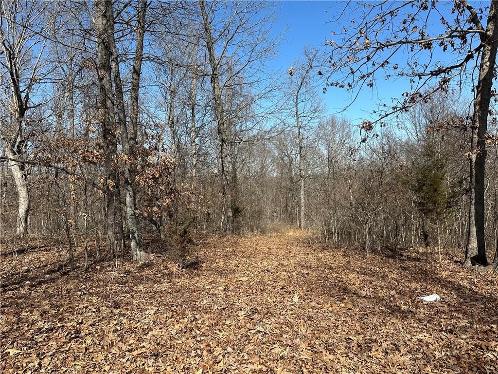 32677 Cougar Way — photo 2