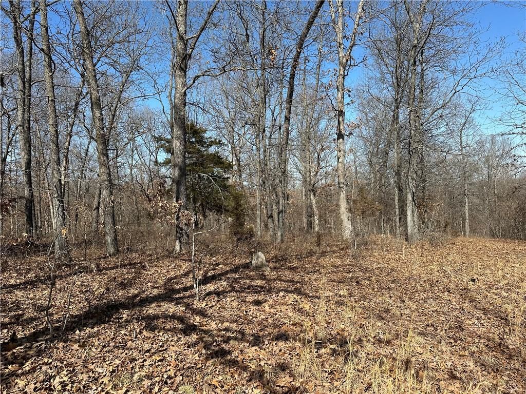 32677 Cougar Way — photo 3