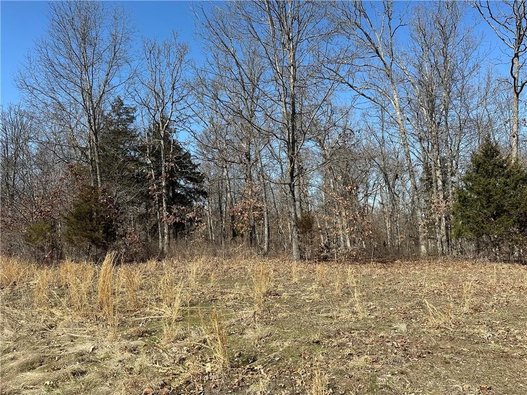 32677 Cougar Way — photo 4