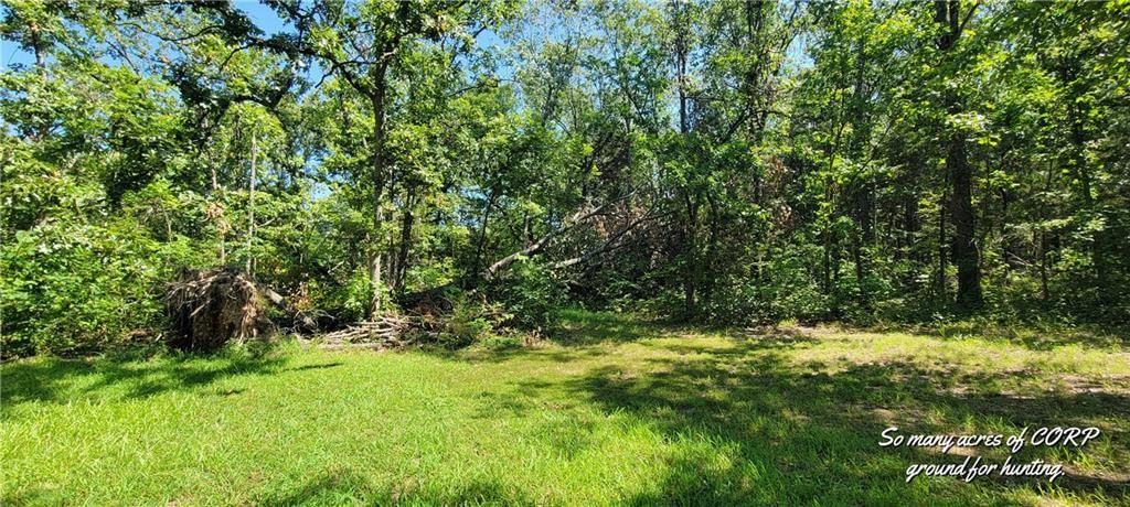 12305 NE 1240 Private Road — photo 22