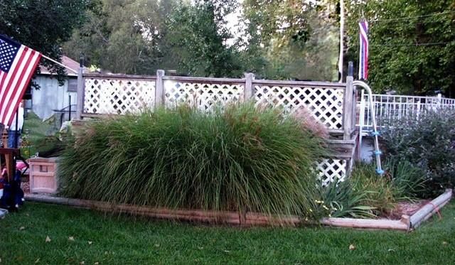 519 Trevis Avenue — photo 24