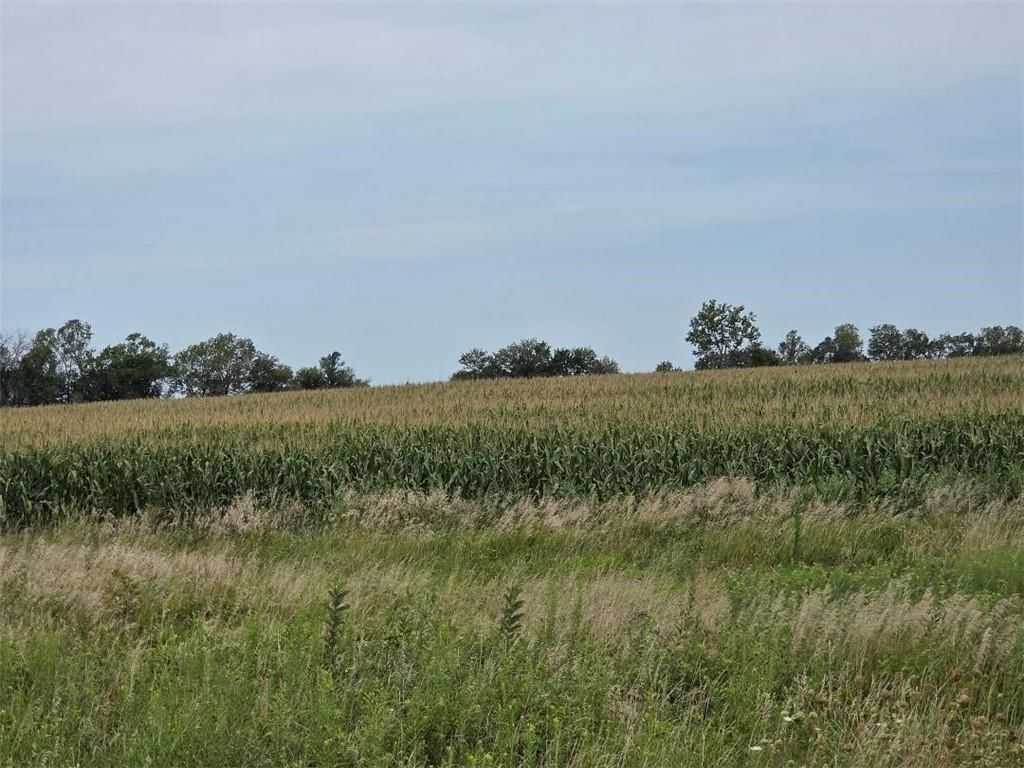 00 Grand Road — photo 4
