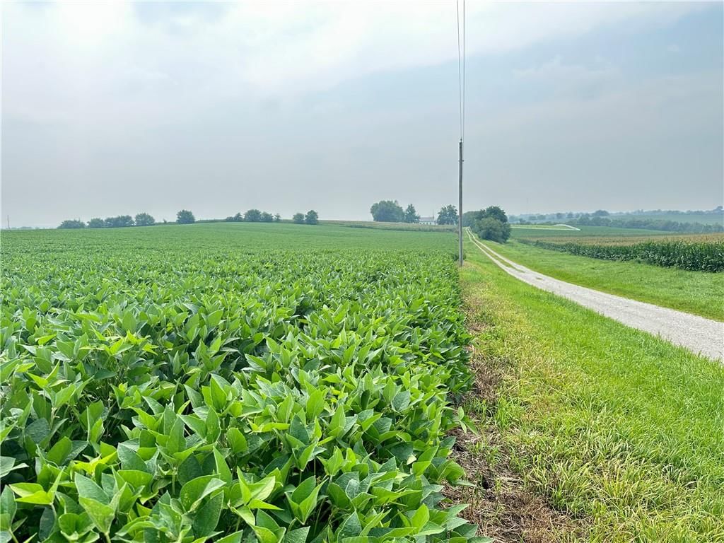 Tract 2 Holt 105 Road — photo 14