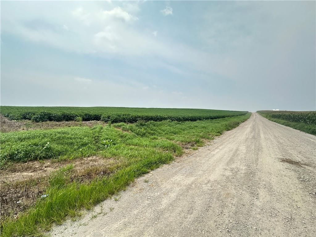 Tract 2 Holt 105 Road — photo 16