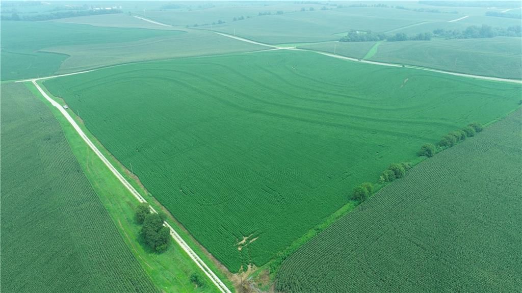 Tract 2 Holt 105 Road — photo 10