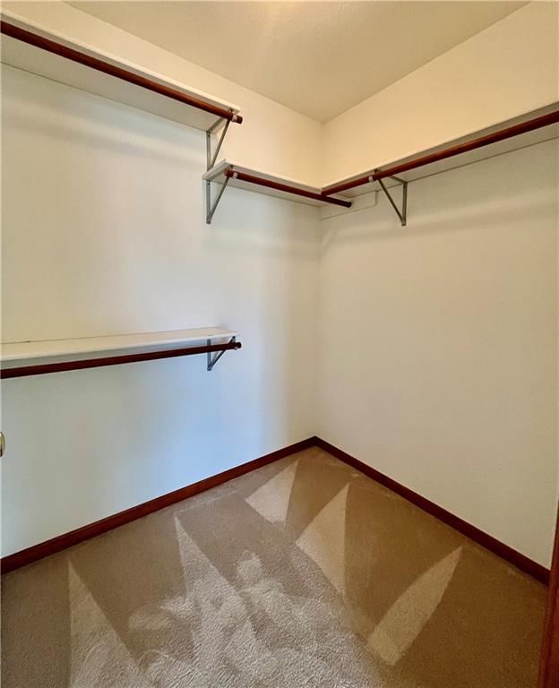 3101 Serve Court — photo 10