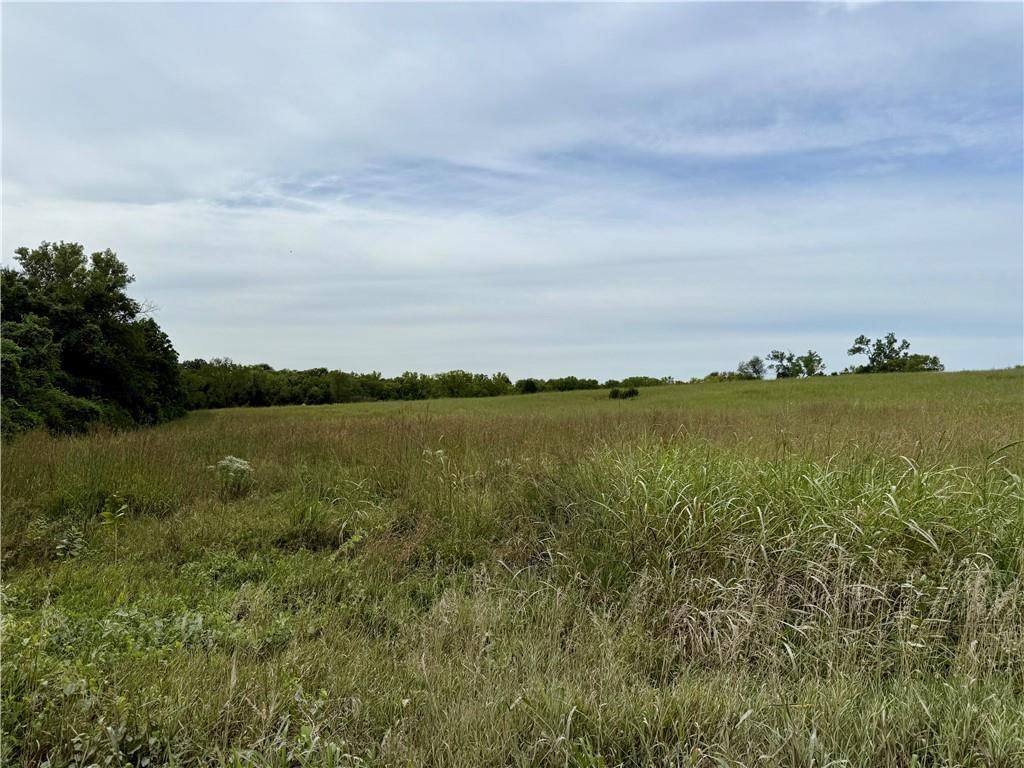 Lot 11 Cantrell Road — photo 7