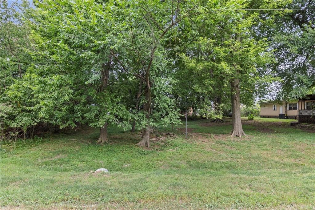 66 Buck Run Drive — photo 38