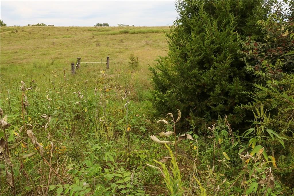 TBD SE HWY PP — photo 18