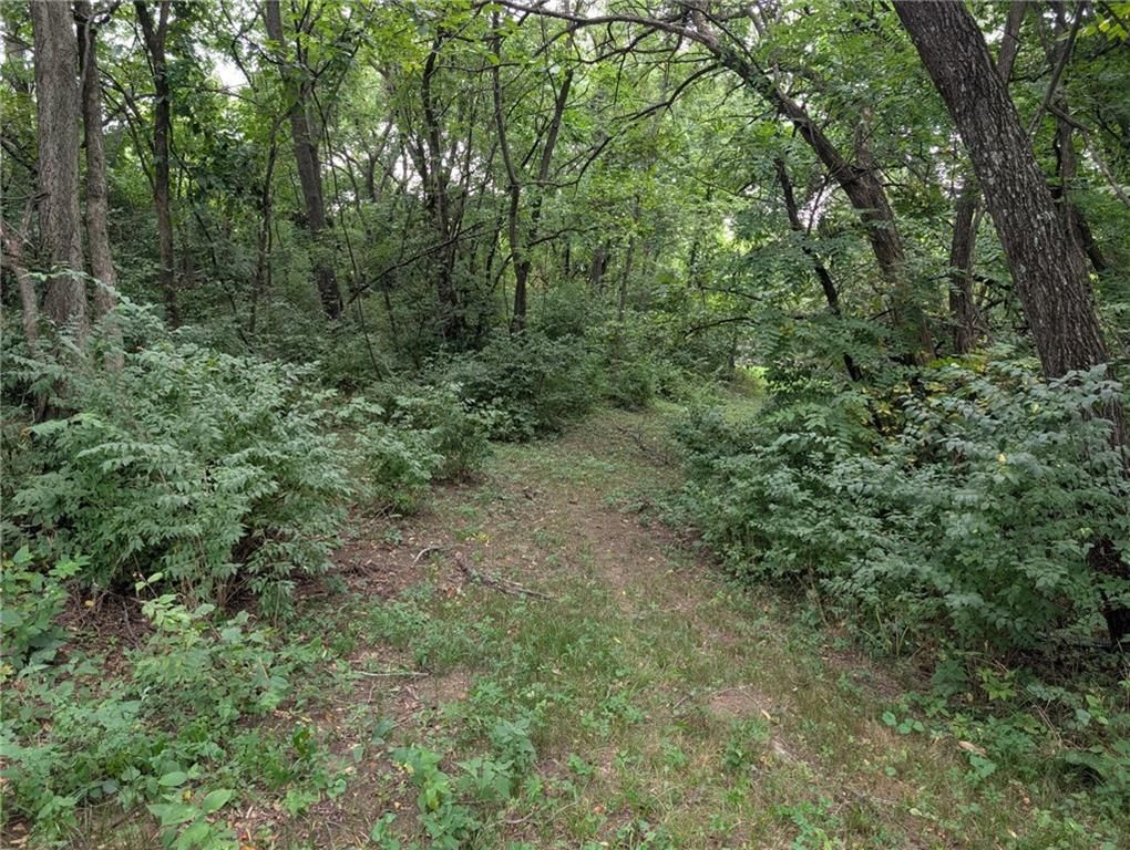 6136 County Line Road — photo 56