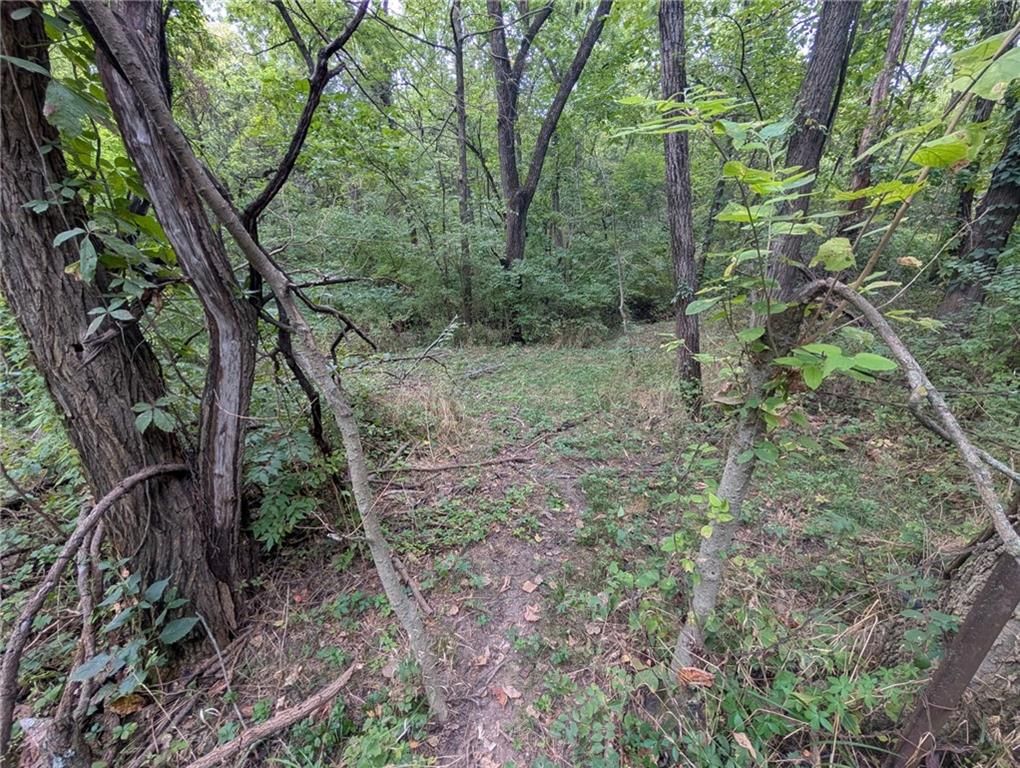6136 County Line Road — photo 57