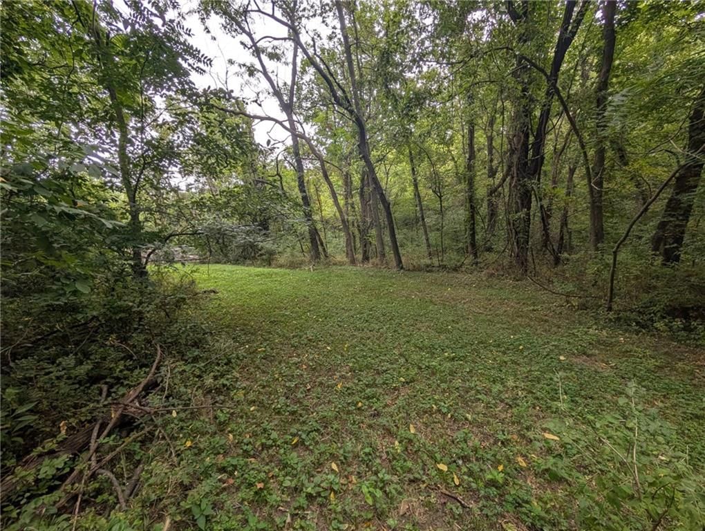 6136 County Line Road — photo 58