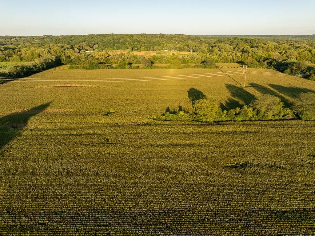 TBD Hardsaw Road — photo 15