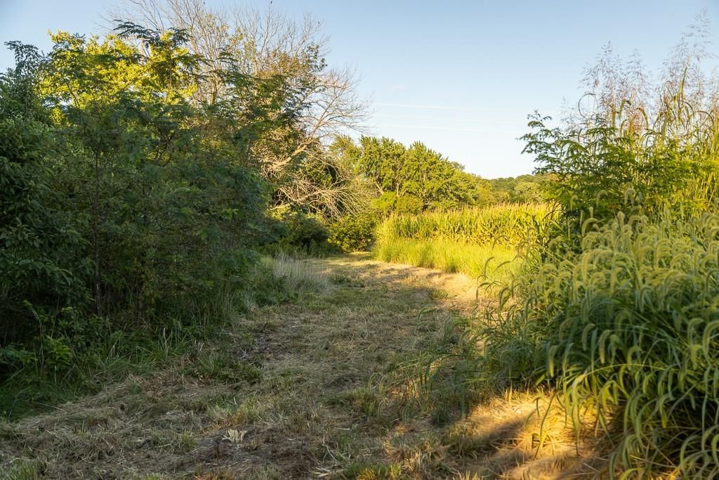 TBD Hardsaw Road — photo 32