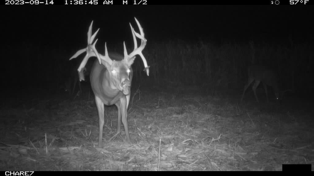 TBD Hardsaw Road — photo 9