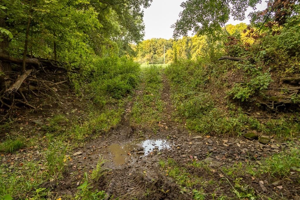 12149 Doniphan Lake Road — photo 48