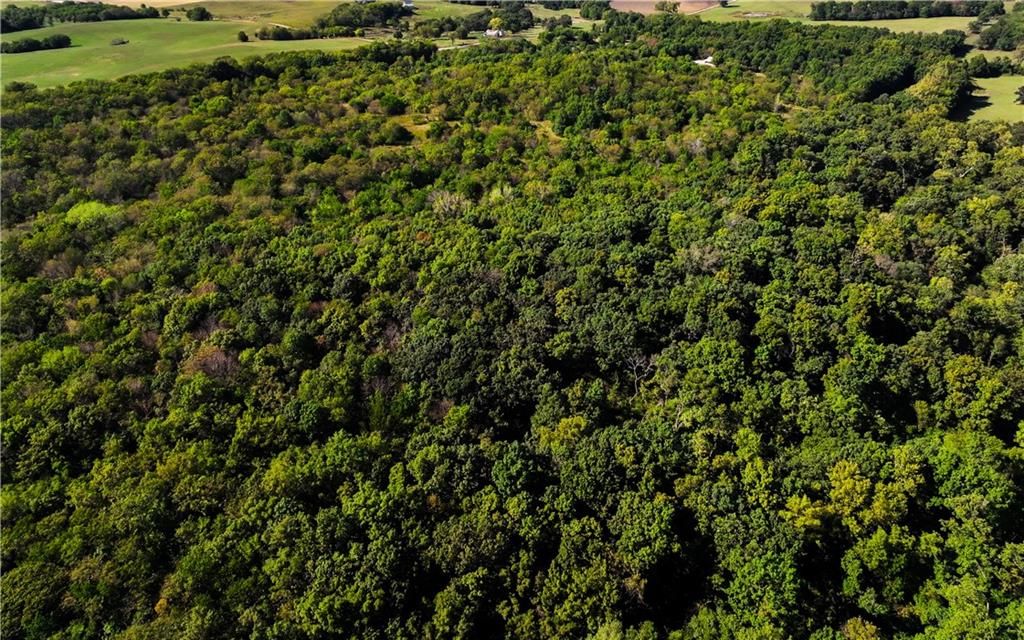 12005 NE County Road 8003 N/A — photo 18