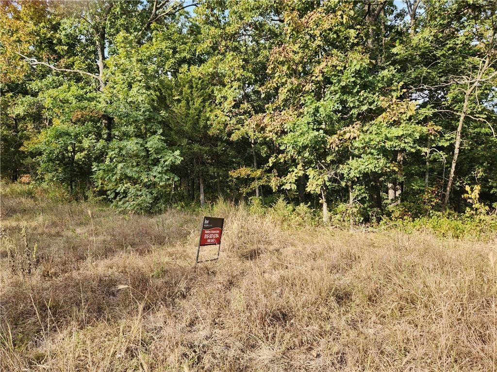 Hiawatha Drive — photo 4