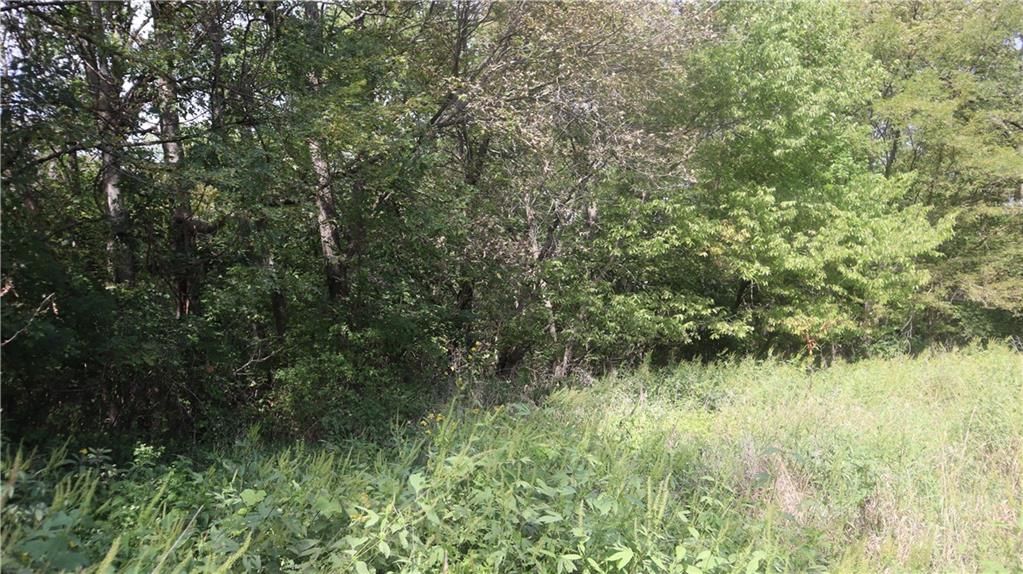 1464 Montana Road — photo 14