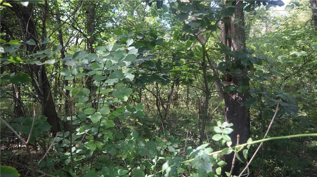 1464 Montana Road — photo 18