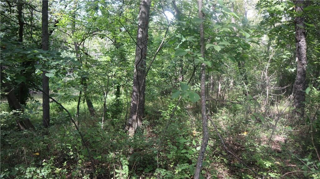 1464 Montana Road — photo 20