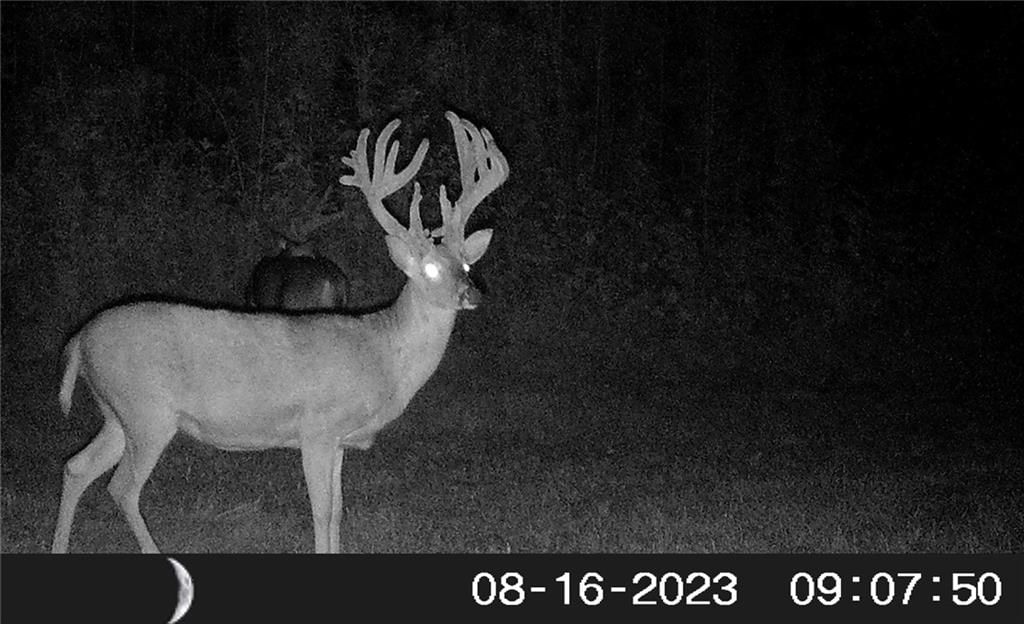2348 SW County Road 6508 N/A — photo 94