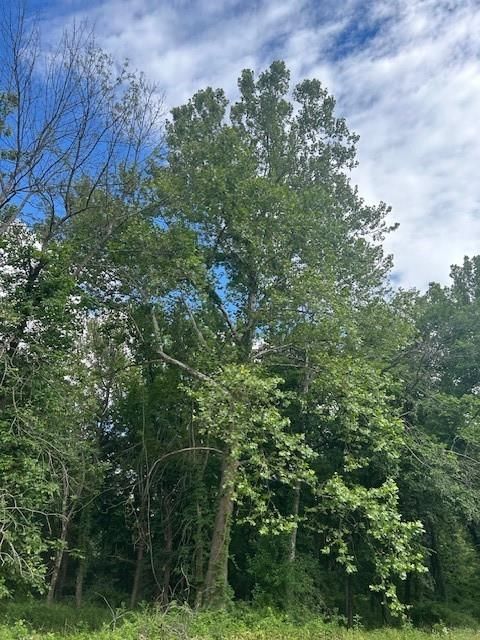 TBD S Walker Road — photo 5