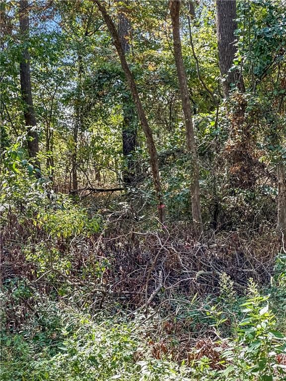 289 SE 1001 Road — photo 51