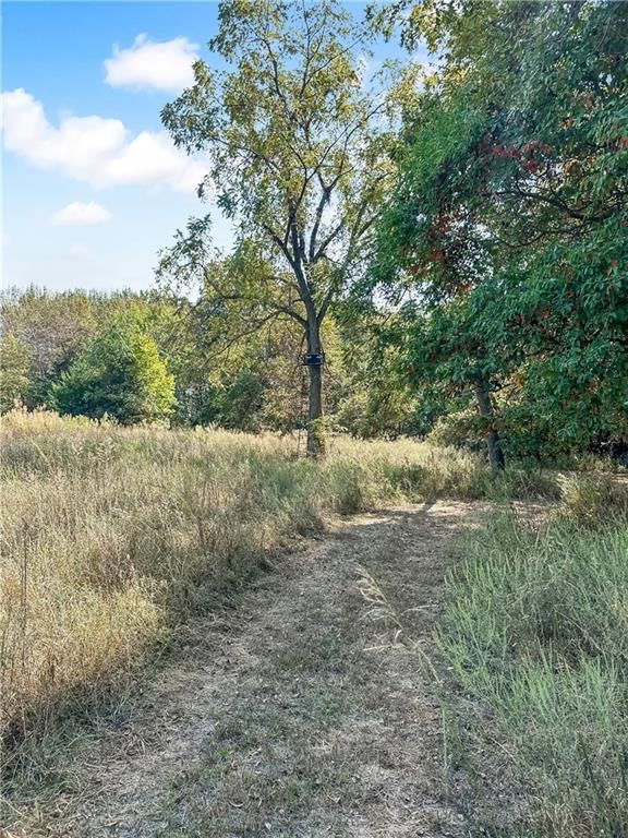 289 SE 1001 Road — photo 54