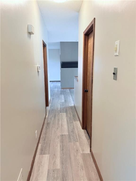 4413 Appletree Court — photo 12