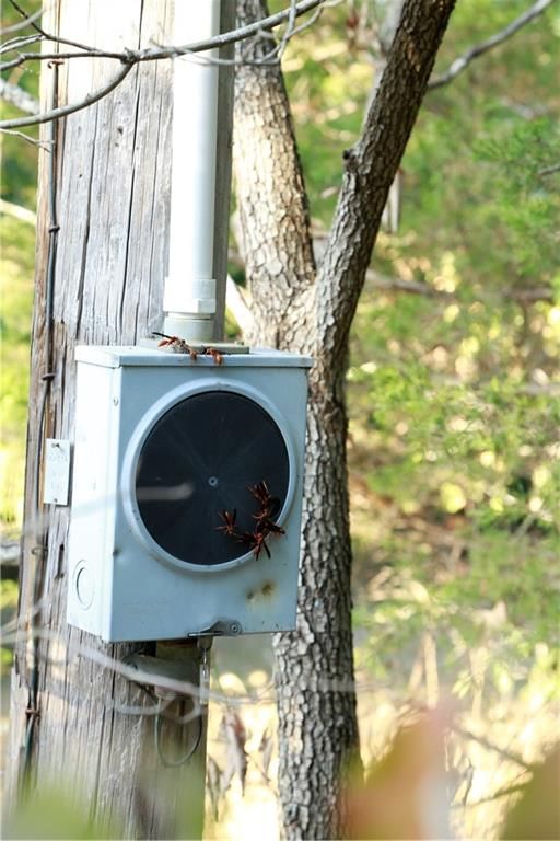 Brown Bend Road — photo 38