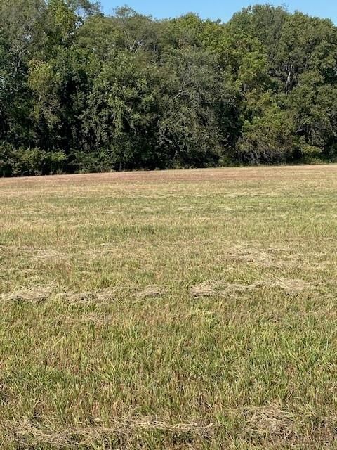 00000 Bauserman Road — photo 5