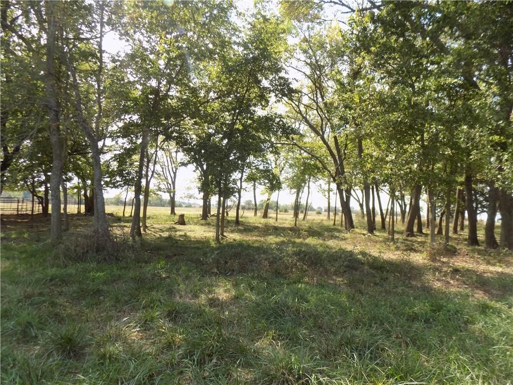 800 & Nevada Road — photo 37